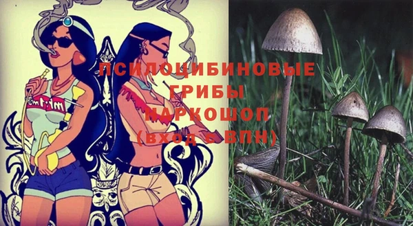 МДПВ Богородск