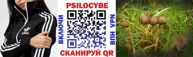 Псилоцибиновые грибы GOLDEN TEACHER  Армавир 